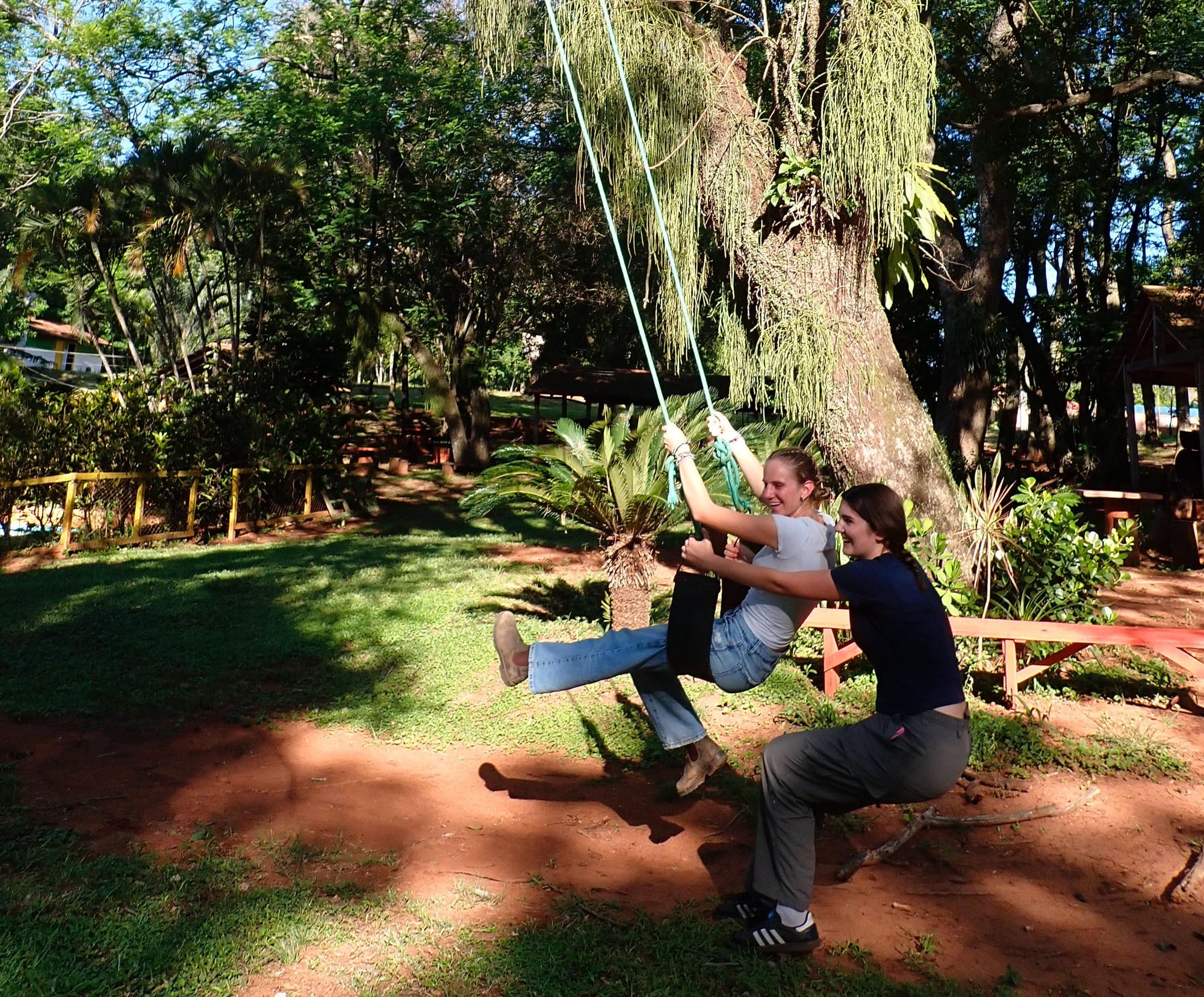Tires, Trees and Training